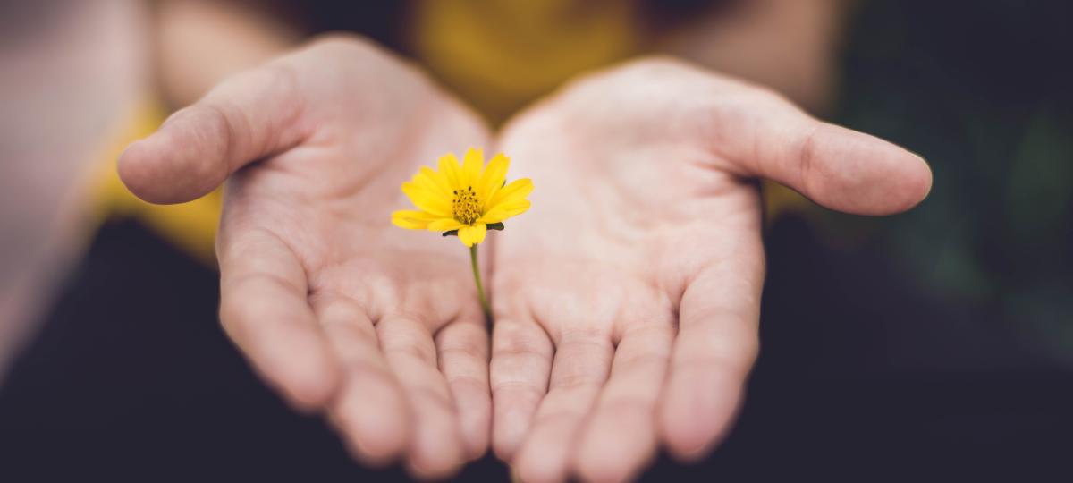 lina-trochez-ktPKyUs3Qjs-unsplash