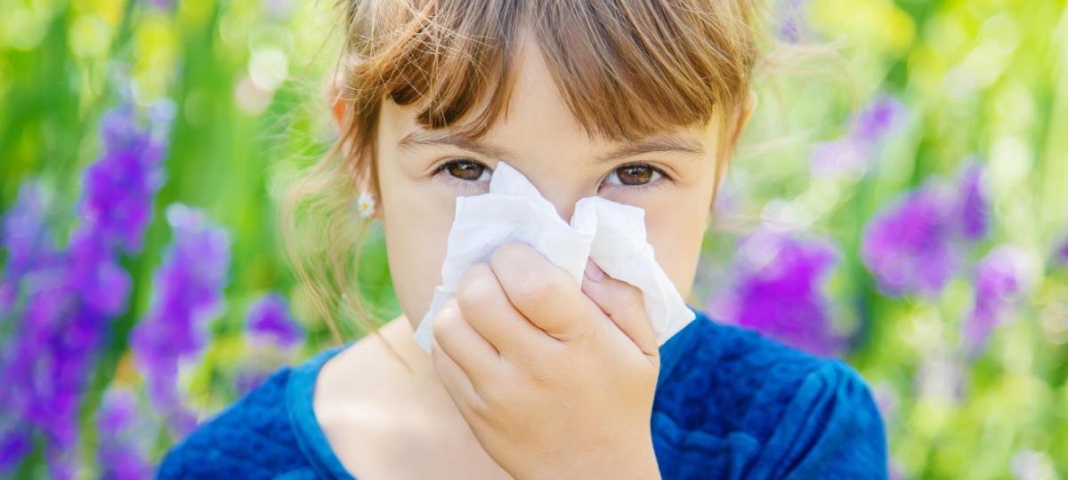Alergia u dziecka